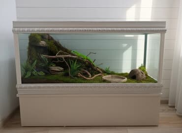 Dördbucaq akvarium, Boş, 150 l, Ödənişli çatdırılma lalafo.az -da Dördbucaq akvarium, Boş, 150 l, Ödənişli çatdırılma