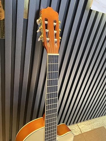 elektron gitara per page 40: Elektro Klassik Gitara + Aksessuarları ilə bitlikfə Uzərində kapo+ 2 — 5