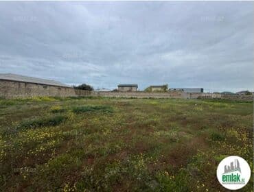 1875 sot, Tikinti, Mülkiyyətçi, Kupça (Çıxarış), Texniki pasport