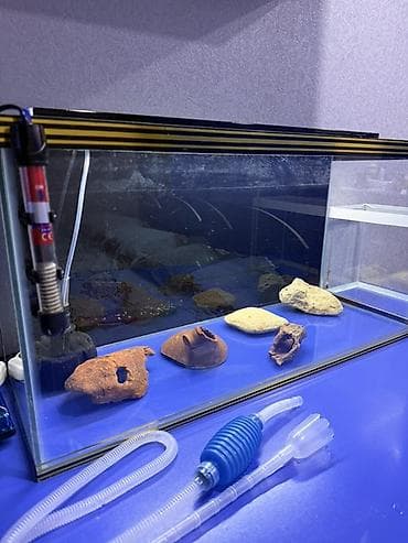 Heyvanlar: Dördbucaq akvarium, Boş, 96 l, Ünvandan götürmə, Pulsuz çatdırılma — 4