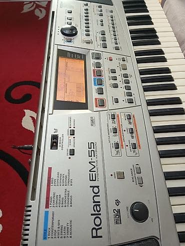 Sintezator, Roland, İşlənmiş — 2
