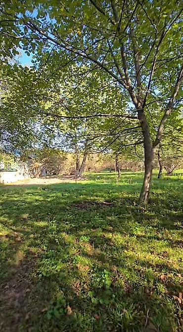 evlərin qiyməti: 27 sot, Tikinti, Mülkiyyətçi, Kupça (Çıxarış) — 1