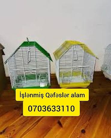 balaca it satisi: Xidmət: İstifadə olunmuş quş qəfəslərinin qəbulu Təsvir: - Müxtəlif — 1