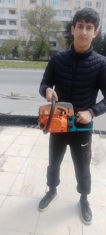 matapile: Benzinli Motopila, benzopila — 3