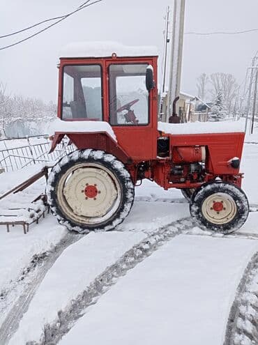 csb traktor: Traktor Belarus (MTZ) T25, 1986 il, 12345 at gücü, motor 9.9 l, İşlənmiş — 5