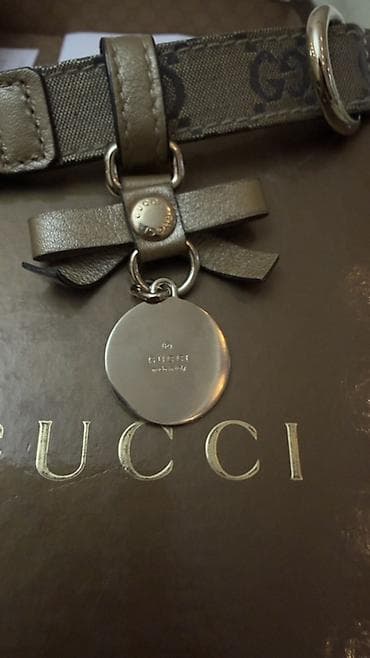 it yem: Ошейник Gucci оригинал Использовался пару раз, после стал маленьким — 2