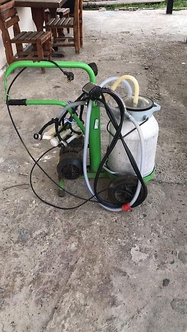 Hazır biznes: Tək bidon, Azərbaycan — 2