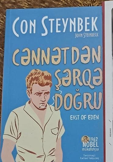Məhsul: Kitab – “Cənnətdən Şərqə Doğru” (East of Eden) Müəllif: Con