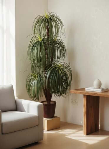 Dekorativ Palma ağacı.Yaşıl rəngdə7 budaqlı ev və bağ üçun