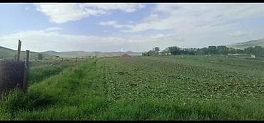 объявления о продаже земельных участков: Для строительства, Купчая — 1