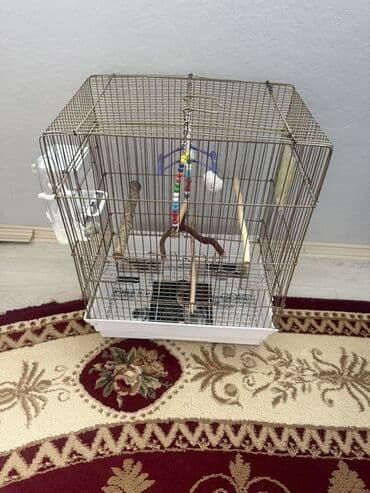 Nissan: Quş qəfəsi dəsti - Material: metal barmaqlıqlar, möhkəm plastik — 2