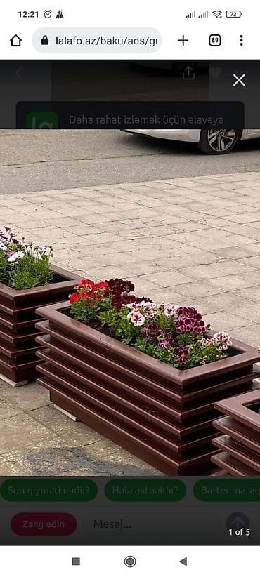 dibcek gulleri magazasi: Bitkilər üçün dibçəklər — 2