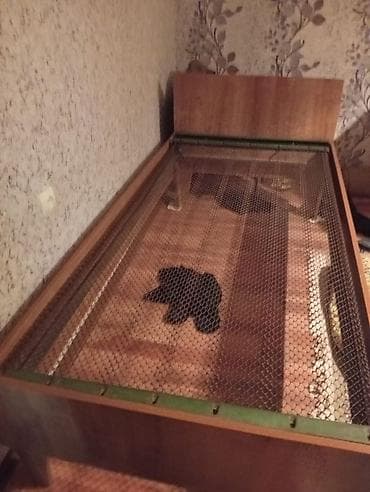 şkaflar ucuz: İşlənmiş, Təknəfərlik çarpayı, Bazasız, Matrassız, Siyirməsiz — 1