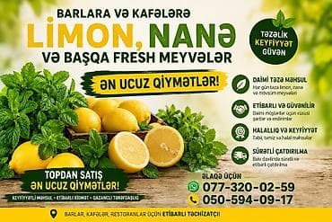 lepe: 🍋 Bar, kafe və restoranlar üçün 🌿 Təzə limon, nanə və mövsümi fresh — 1