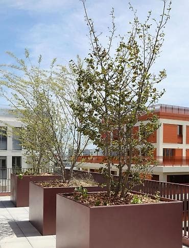 dekorativ bitkilər: Məhsul: Böyük ölçülü kvadrat dekorativ dibçəklər - Tətbiq sahəsi — 9