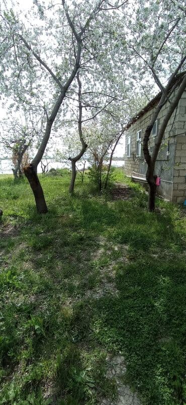 ehmedlide torpaq satilir: 10 sot, Kənd təsərrüfatı, Mülkiyyətçi, Kupça (Çıxarış) — 6