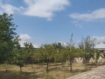 1 otaqlı kirayə: 3 otaqlı, 132 kv. m — 4