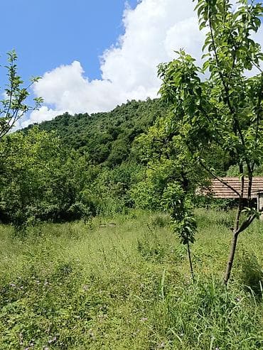 bineqedide ucuz heyet evleri 2023: 3 otaqlı, 70 kv. m, Kredit yoxdur, Təmirsiz — 6