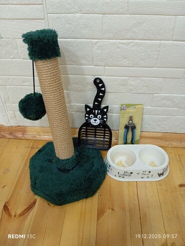 Pişik aksesuarları dəsti hamısı bir yerdə 15 AZN. Sumqayıt. Dəstə