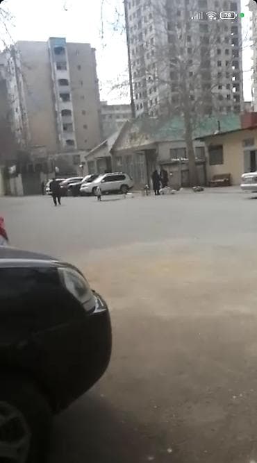 06 masin sekilleri: Daşkənar yük daşıma üçün kuzovlu yüngül kommersiya avtomobili — 2