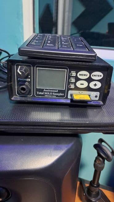 Sintezator, Korg, İşlənmiş