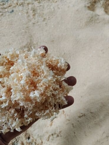 Рейки, доски: Məhsul: Taxta yonqarı (xırda fraksiya) Təsvir: - Dülgər emalından — 2