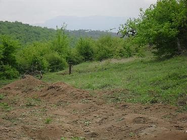 bulbulede torpaq: TƏCİLİ SATILIR! 12 sot torpaq sahəsində yerləşən 2 otaqlı tikili — 10