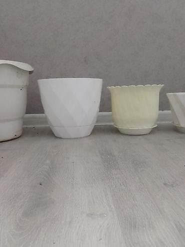 dibçək gül: Plastik güldanlar və saksılar dəsti Hamsi bir yerdə 10 manat.050 670 — 3