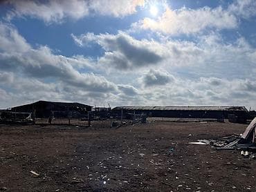 Tecili satilir ferma imisli rayonunda 115 h torpagi var daima kanal — 6
