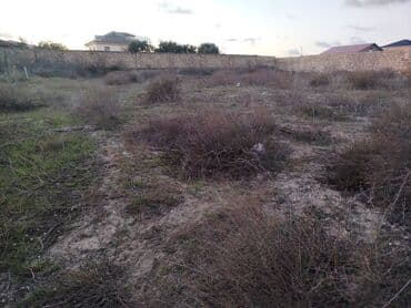 Bıçaqlar: 12 sot, Tikinti, Maklerlər narahat etməsin, Kupça (Çıxarış) — 1