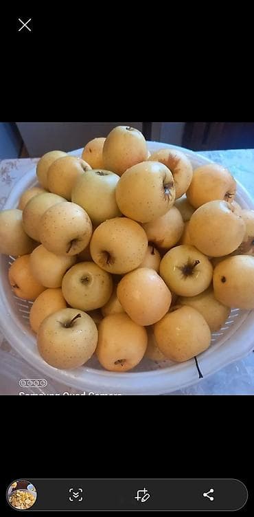 qedimi balta: Təbii ev üsulu ilə hazırlanmış alma sirkəsi - Xammal: şəkərsiz — 2