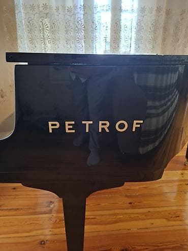 gitara simi: PETROF konsert royalı - Brend: PETROF (Çexiya istehsalı, Avropa — 5