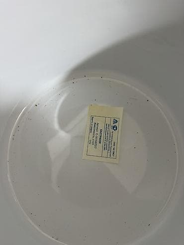 merci qazani: Qazan — 2