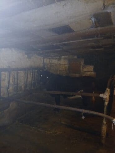 iney sekilleri: Salam 7ay yarımlıq boğazdı birinci qarına düyədi qarnındaki bala süni — 8