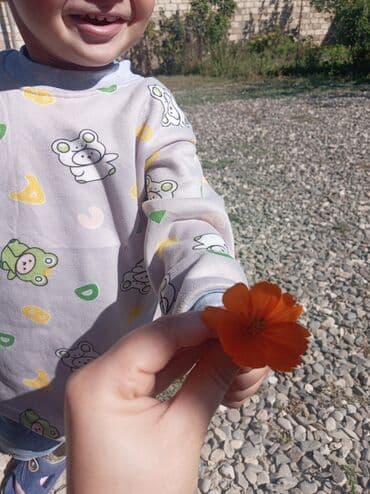 uşaq paltarları sədərək: Aileliyem bir ovladim var Dayelik etmişem 2 il yen etmeye davam — 1