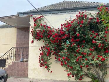 lenkeranda tecili ev satiram: Binəqədi qəs. 3 otaqlı, 80 kv. m — 11