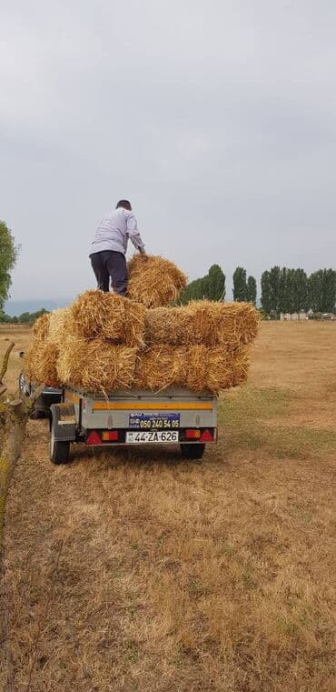 qoşqu lapet: 🔹 Minik avtomobilləri qoşquları və bütün hissələri ▫️2200 AZN-dən — 14