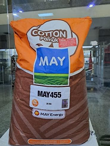 azolla toxumu: Məhsul: MAY Cotton (Pamuk) toxumu – MAY455 hibridi Çəki: 25 kq — 1