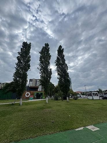 Mənzillər: Satılır 4 otaqlı yeni tikili 157 m², Şah İsmayıl Xətai m. Kateqoriya — 2
