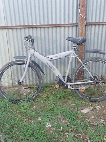 Yaxşı velesped 100m verəcəm — 2