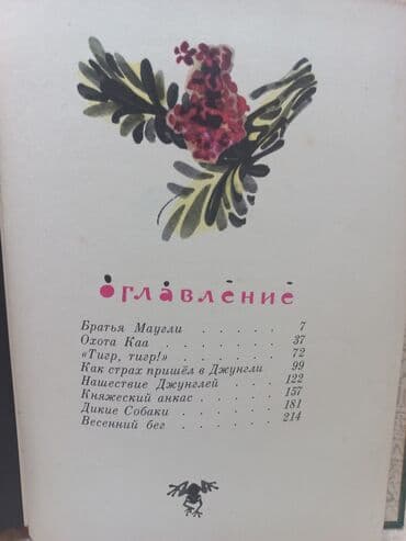 купить книги в баку: 1976 ilin capi yaxşi veziyetde — 3