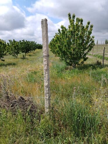 куплю дом в баку: 12 соток, Для бизнеса, Риэлторам не беспокоить, Купчая — 1