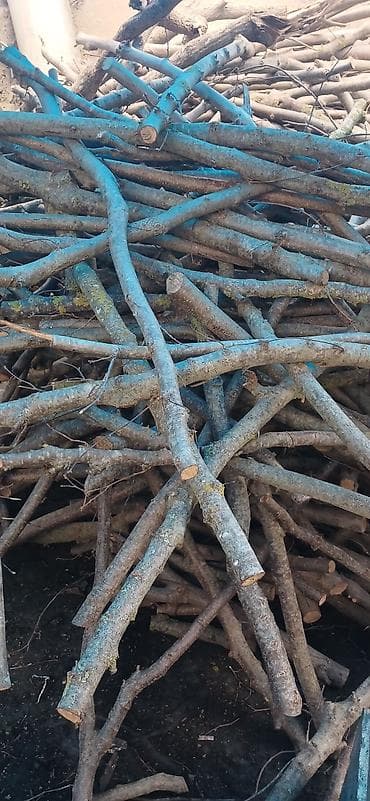 paltar qurutma asılqanı: Odun budaqları – yandırmalıq/şam-odunu - Tərkib: ağac budaqları və — 1