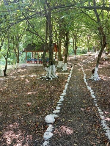 kirayə aylıq: 3000 kv. m, 3 otaqlı — 4