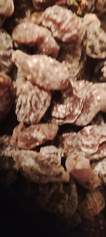 Diqqət təmiz bakı ənciri. Günəşin şüaları ilə təmiz qurudulmuş