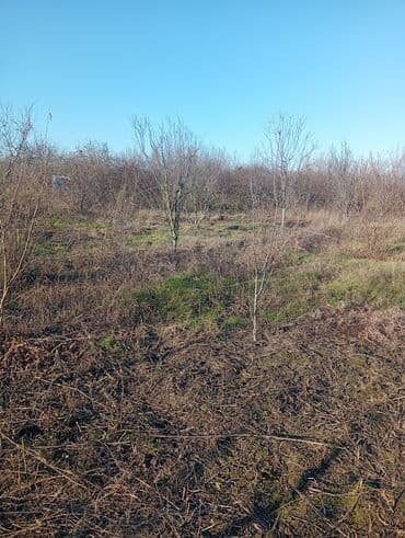 Аренда участков: 8 соток, Для сельского хозяйства, Собственник, Купчая — 2