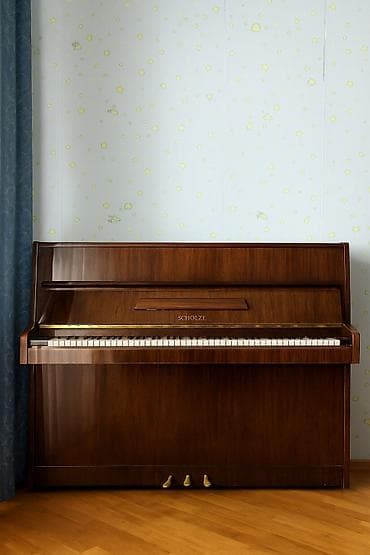 Fleytalar: Piano, Akustik — 1