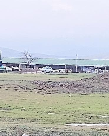 bulbulede torpaq: 20000 sot, Kənd təsərrüfatı, Kupça (Çıxarış) — 4