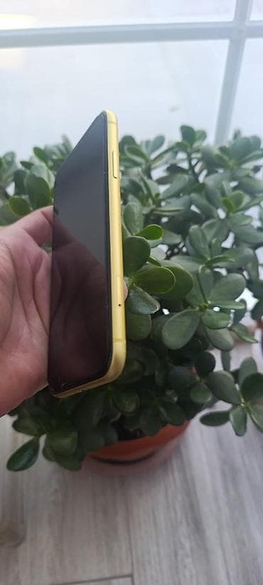 iphon 11 ikinci el: IPhone 11, Sarı, Face ID — 2