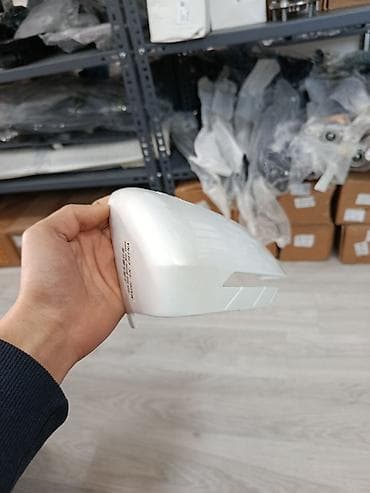 Məhsul: BYD Avtomobili üçün xarici güzgü korpusu (sağ sol ) - Rəng